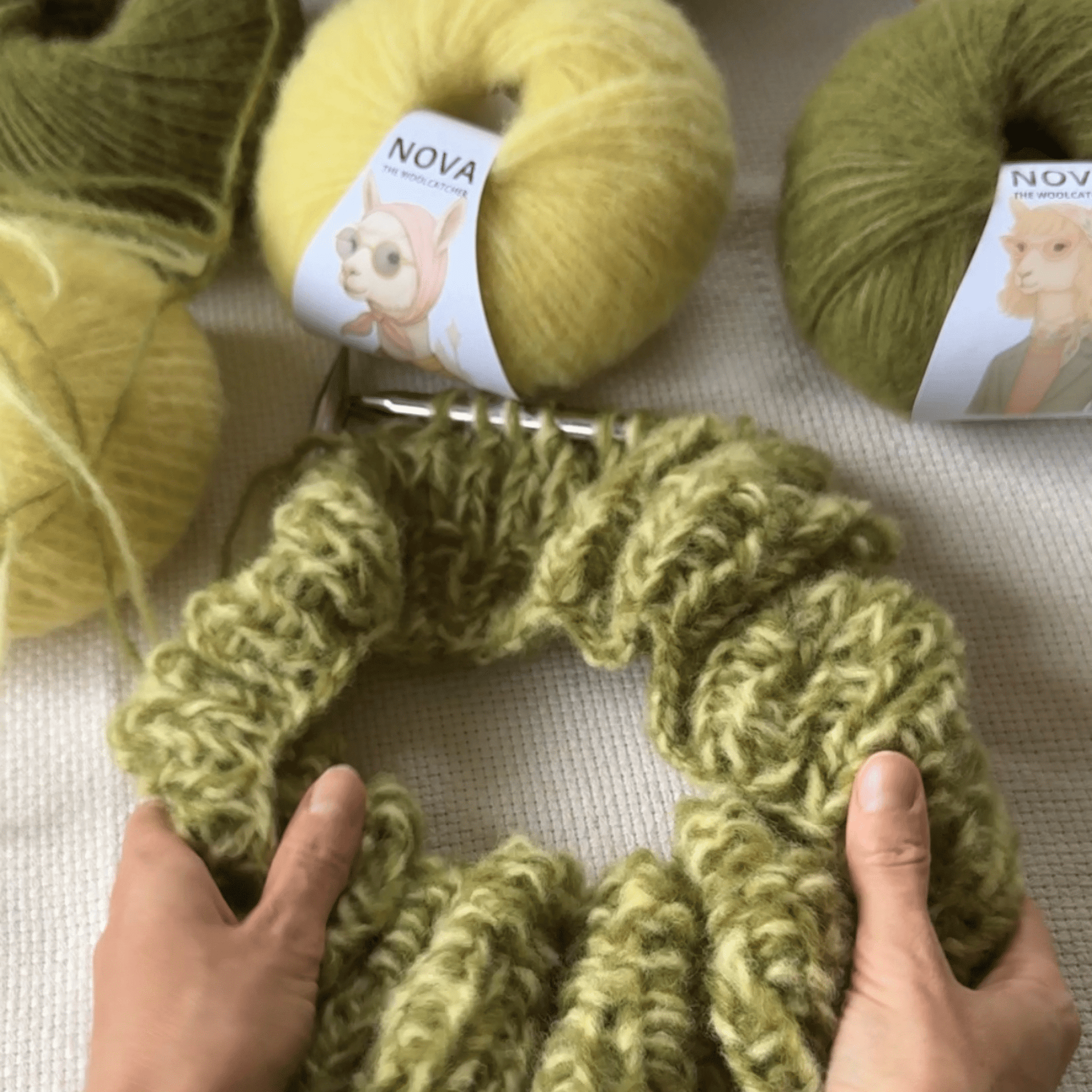 NOVA CANARY - The Woolcatcher